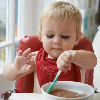 Hungry, cute and baby eating porridge for health, nutrition or child development at home. Food, sweet and girl toddler or kid enjoying an organic puree meal for lunch or dinner in high chair at house.