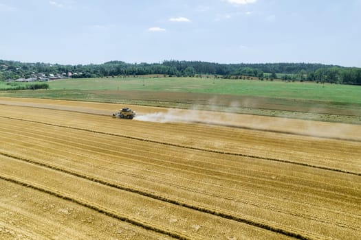 Modern agricultural practices, including use of combines, have revolutionized wheat harvesting, making it more efficient and productive.