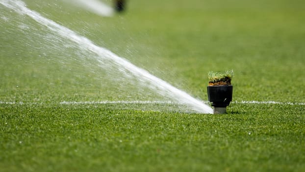 Watering the lawn water grass football field. High quality photo