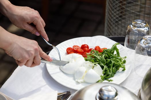 cuts mozzarella salad in a plate. High quality photo