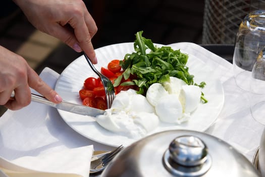 cuts mozzarella salad in a plate. High quality photo