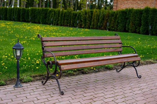wooden bench on a background of green grass. High quality photo