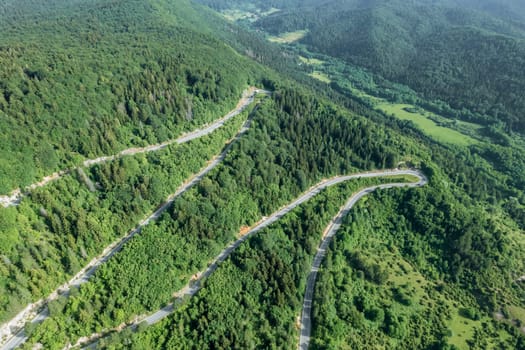 Winding road through forest provides sense of tranquility and seclusion. Road winds through forest, offering glimpses of hidden natural wonders.