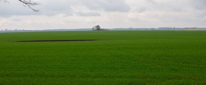 road field and green grass background. High quality photo