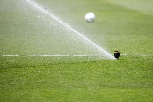 Watering the lawn water grass football field. High quality photo