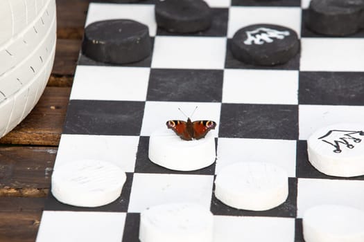 homemade chessboard and butterfly on it. High quality photo