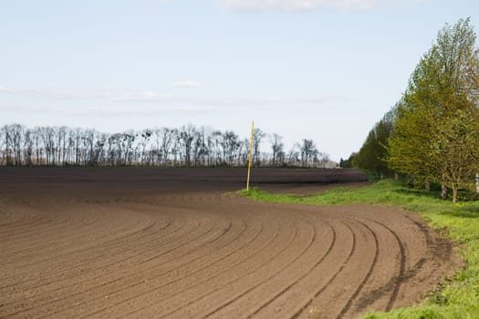 field chernozem sowing spring greenery. High quality photo