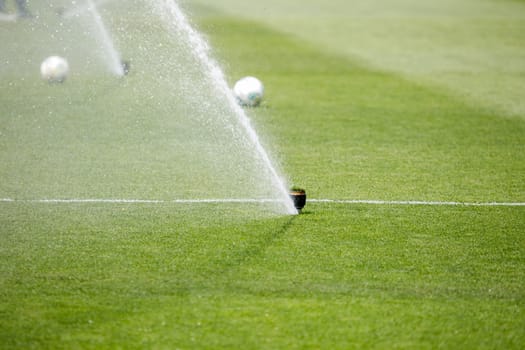 Watering the lawn water grass football field. High quality photo