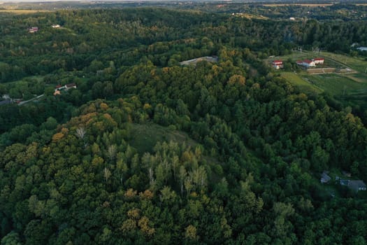 field autumn mountain forest trees houses. High quality photo