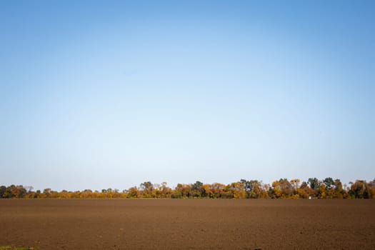 plowed field and blue sky autumn trees. High quality photo