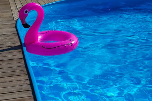 pink flamingos in the pool. High quality photo