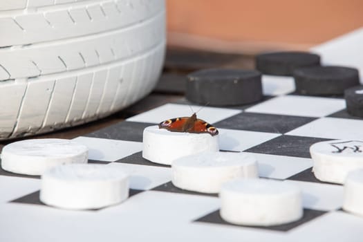 homemade chessboard and butterfly on it. High quality photo