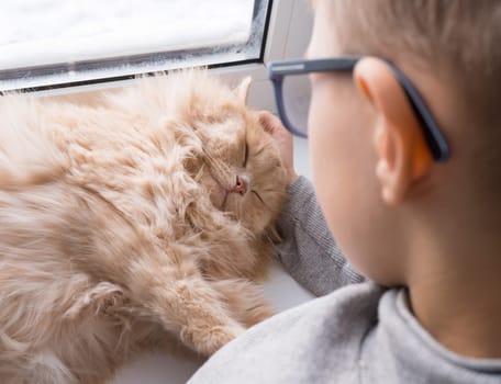 A child, a boy plays with his favorite fluffy red cat by the window. A child strokes a cat. Attachment between children and pets. The funny life of cats at home.