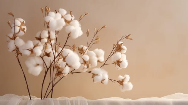 Dried fluffy cotton flower branch on a beige background AI