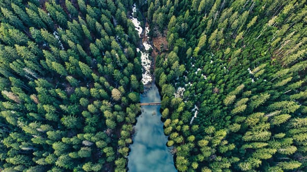 Aerial top view on heart of Ukrainian part of Carpathians Mountains - the lake Synevyr(dragon eye) surrounded trees
