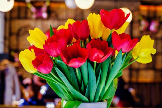 Tulip, tulips bouquet. Present for March 8, International Women's Day. Holiday decor with flowers. Bouquet with colorful tulips. Red tulip, yellow tulip. Holiday floral decor.