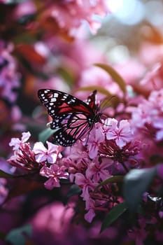 Beautiful butterflies on delicate pink flowers. Nature selective focus. Generative AI,