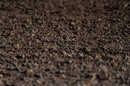 Soil texture background. Fertile soil suitable for planting. Plowed agricultural field, dry land close up