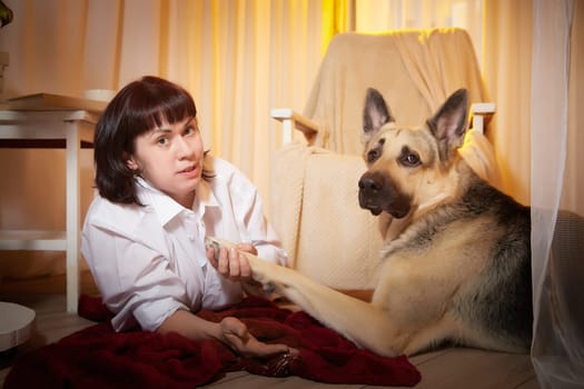 Adult mature woman with big shepherd dog in white shirt. Room with girl and calm cozy evening atmosphere with transparent curtains and soft warm light of lamps. Concept of love for animals, pets