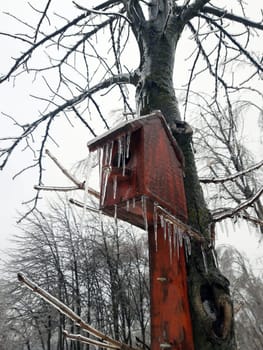 Bird house in winter covered with ice icicles on an old tree.