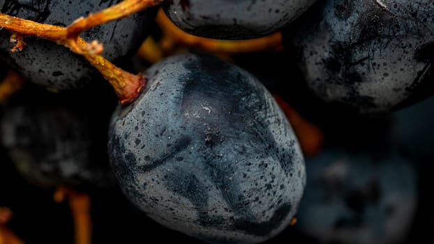 Close up of ripe grapes, background of grapes.