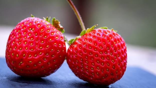 Close up of fresh strawberries showing seeds achenes. Details of fresh ripe red strawberries.