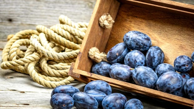 Ripe blue plums in a wooden crate in a rustic composition.