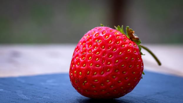 Close up of fresh strawberry showing seeds achenes. Details of a fresh ripe red strawberry.