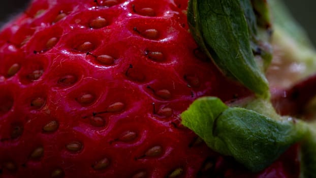 Close up of fresh strawberry showing seeds achenes. Details of a fresh ripe red strawberry.