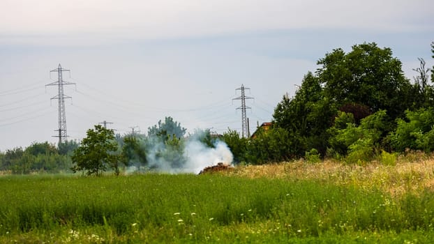 Fire and smoke in the agricultural field.