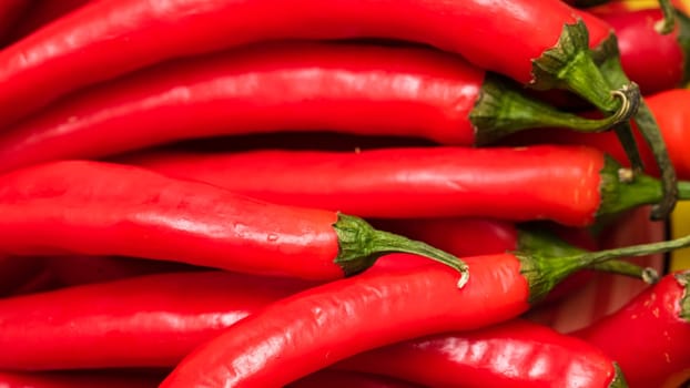 Red hot chilli peppers, close up. Background of red chilies