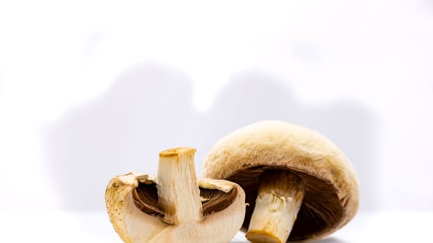 Fresh champignons, champignon mushrooms, close-up, isolated