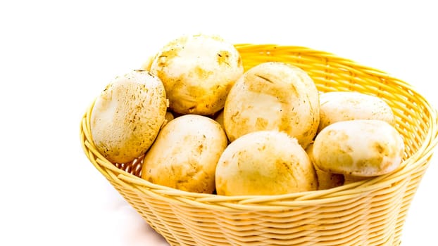 Fresh champignons, champignon mushrooms in wicker basket isolated