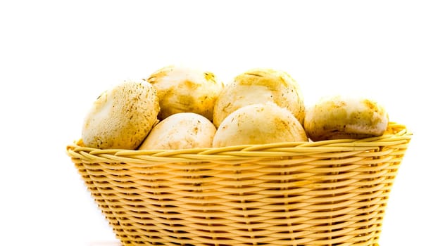 Fresh champignons, champignon mushrooms in wicker basket isolated