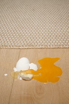 Fresh broken egg in kitchen floor.