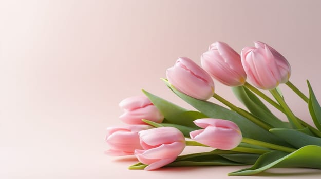 Pink tulips flowers on pastel pink background. Spring and easter greeting card design layout. Flat lay, top view, copy space. High quality photo