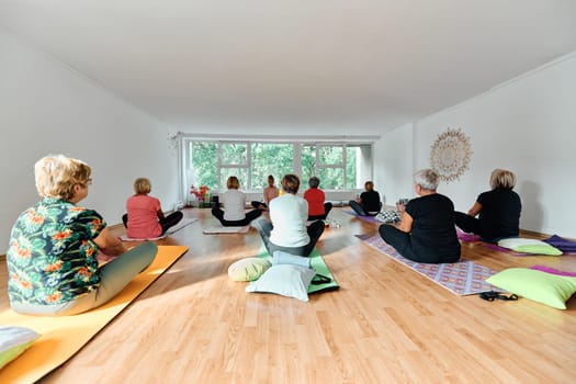 A group of senior women engage in various yoga exercises, including neck, back, and leg stretches, under the guidance of a trainer in a sunlit space, promoting well-being and harmony.