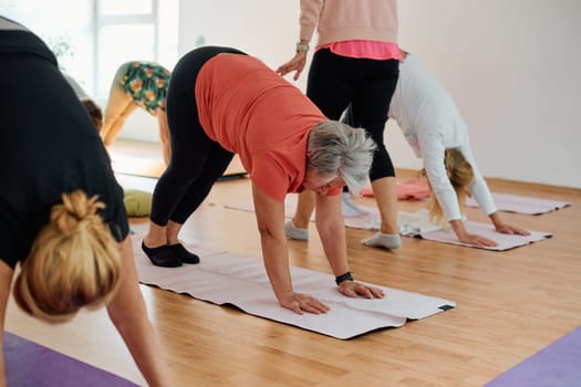 A group of senior women engage in various yoga exercises, including neck, back, and leg stretches, under the guidance of a trainer in a sunlit space, promoting well-being and harmony.