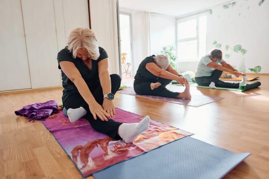 A group of senior women engage in various yoga exercises, including neck, back, and leg stretches, under the guidance of a trainer in a sunlit space, promoting well-being and harmony.