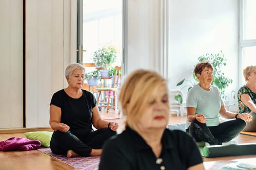 A group of senior women engage in various yoga exercises, including neck, back, and leg stretches, under the guidance of a trainer in a sunlit space, promoting well-being and harmony.