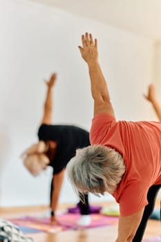 A group of senior women engage in various yoga exercises, including neck, back, and leg stretches, under the guidance of a trainer in a sunlit space, promoting well-being and harmony.