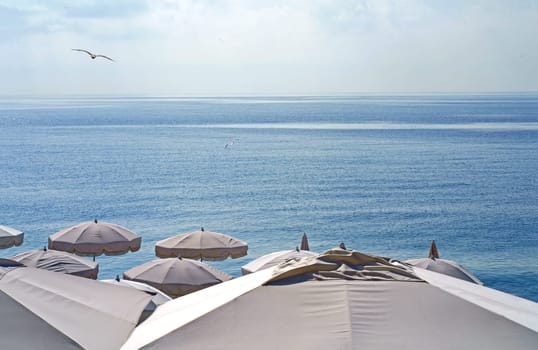 France. Nice. Nice beach with beach chairs, white umbrellas and palm trees. luxury beach against the background of the beauty of the sea.