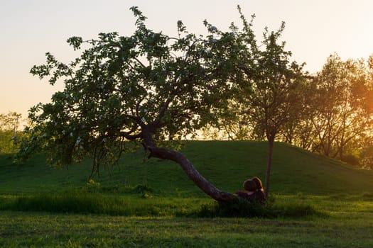 Young loving couple sitting under a tree.