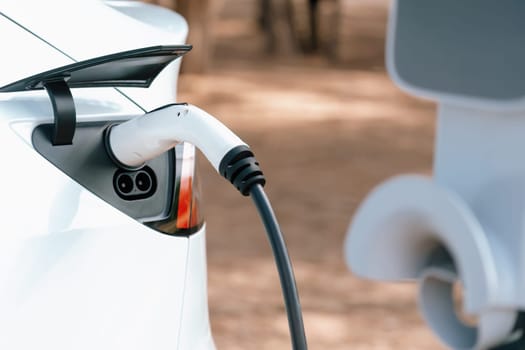 Closeup EV charger handle plugged in or connect to electric car, recharging EV car battery with alternative and sustainable energy with zero CO2 emission for clean environment. Perpetual