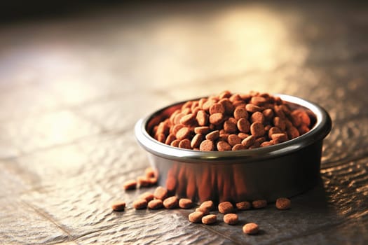 Metal dog bowls filled with dog kibble dry food on a wooden surface