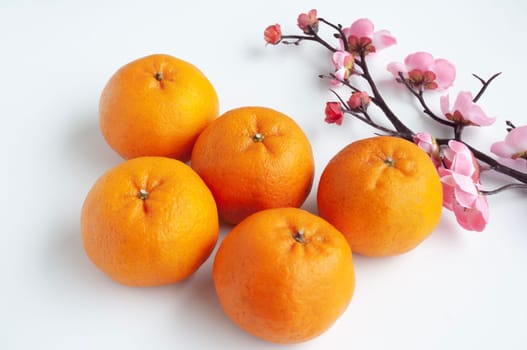 Top view of Mandarin oranges on white cover background. Chinese New Year celebration.