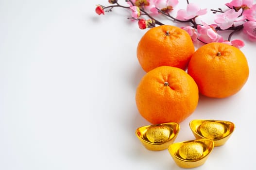 Top view of Chinese New Year Mandarin oranges, cherry blossom and golden ingot with customizable space for text or wishes.