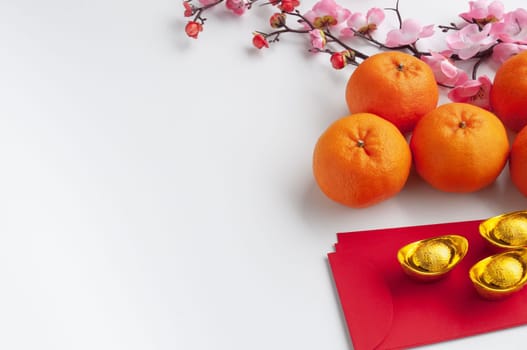 Chinese New Year decoration with customizable space for text or wishes.