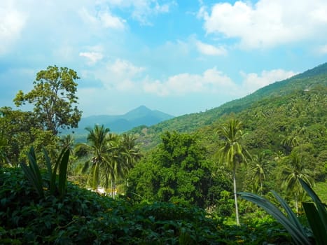 thai jungle landscape high top photo.