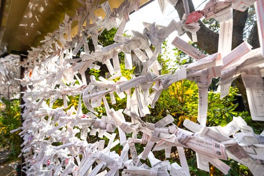 Tokyo, Japan. January 2024. the Omikuji sheets that predict one's future knotted outside Kiyomizu Kannon-do Temple Buddhist temple in the city center
